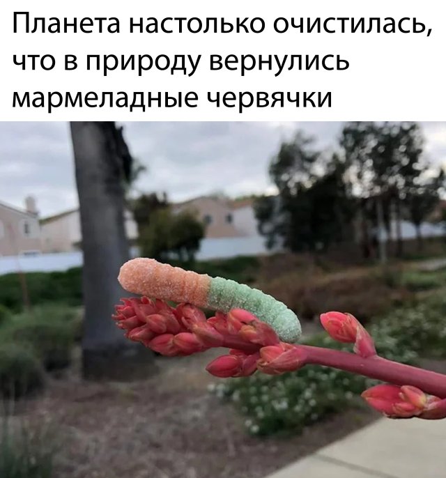 Смешные картинки пятница 1 мая 2020
