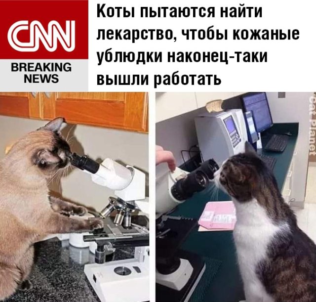 Юмор и картинки вечер 1 мая 2020