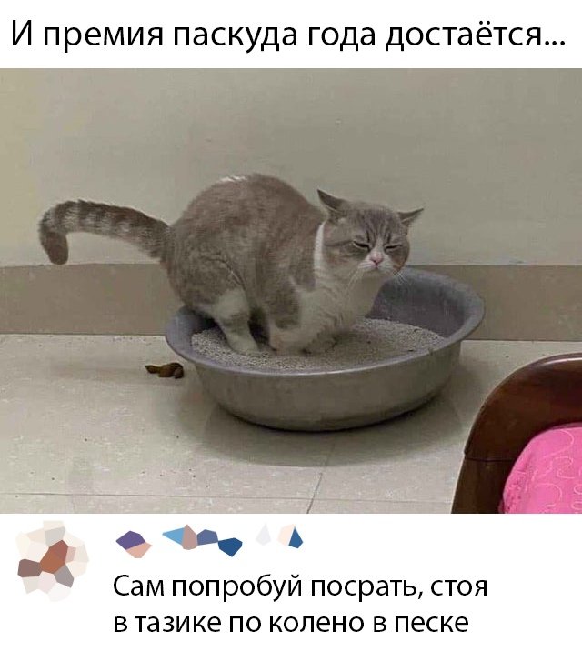 Юмор и картинки вечер 1 мая 2020