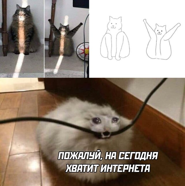 Подборка смешных картинок 4 мая 2020