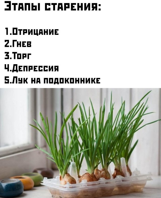Веселые картинки вечер 5 мая 2020