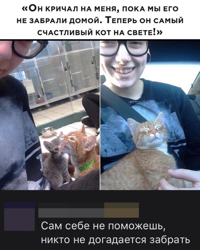 Веселые картинки вечер 5 мая 2020
