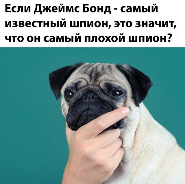 Веселые картинки вечер 5 мая 2020