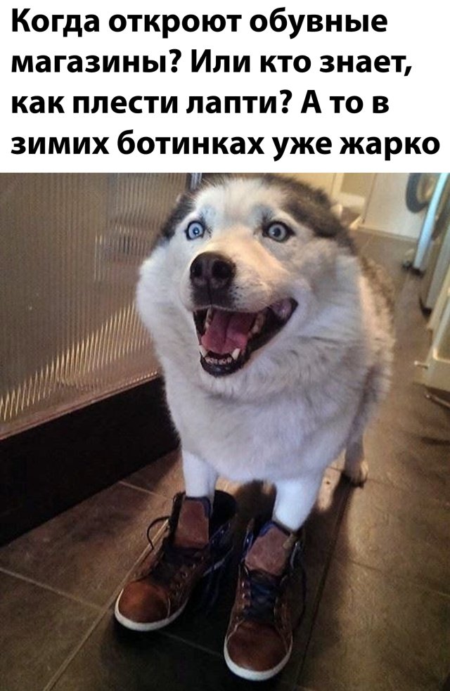 Смешные картинки 6 мая 2020