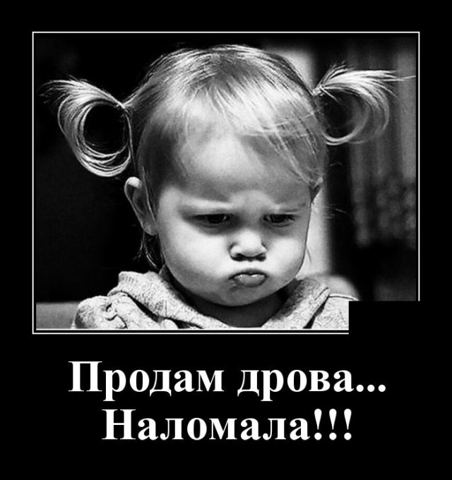 Демотиватор про дрова