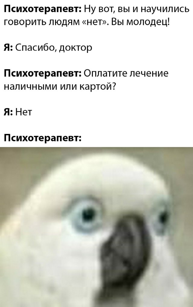 Смешные картинки 11 мая 2020