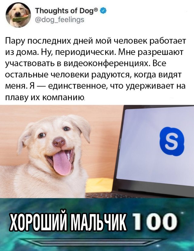 Смешные картинки 11 мая 2020