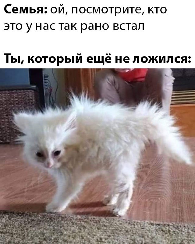 Смешные картинки 11 мая 2020