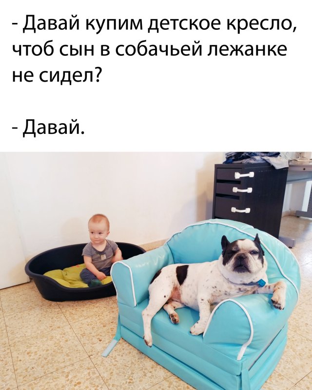 Смешные картинки 13 мая 2020