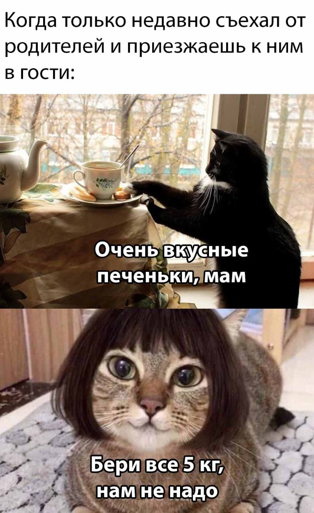 Веселые картинки вечер 15 мая 2020