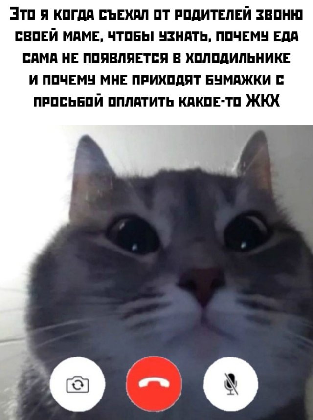 Веселые картинки вечер 15 мая 2020