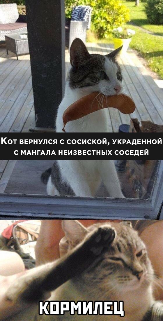 Веселые картинки вечер 15 мая 2020