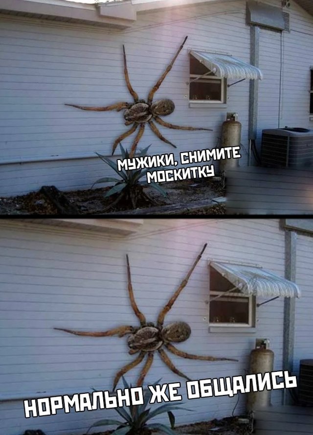 Веселые картинки вечер 15 мая 2020