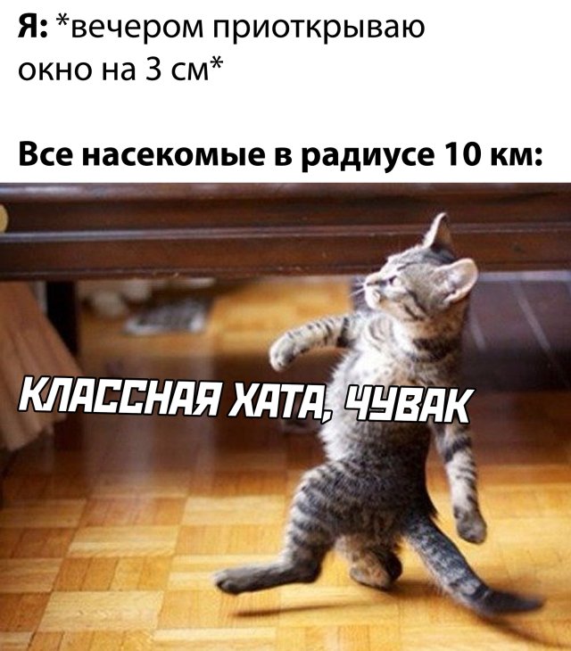 Смешные фото 18 мая 2020