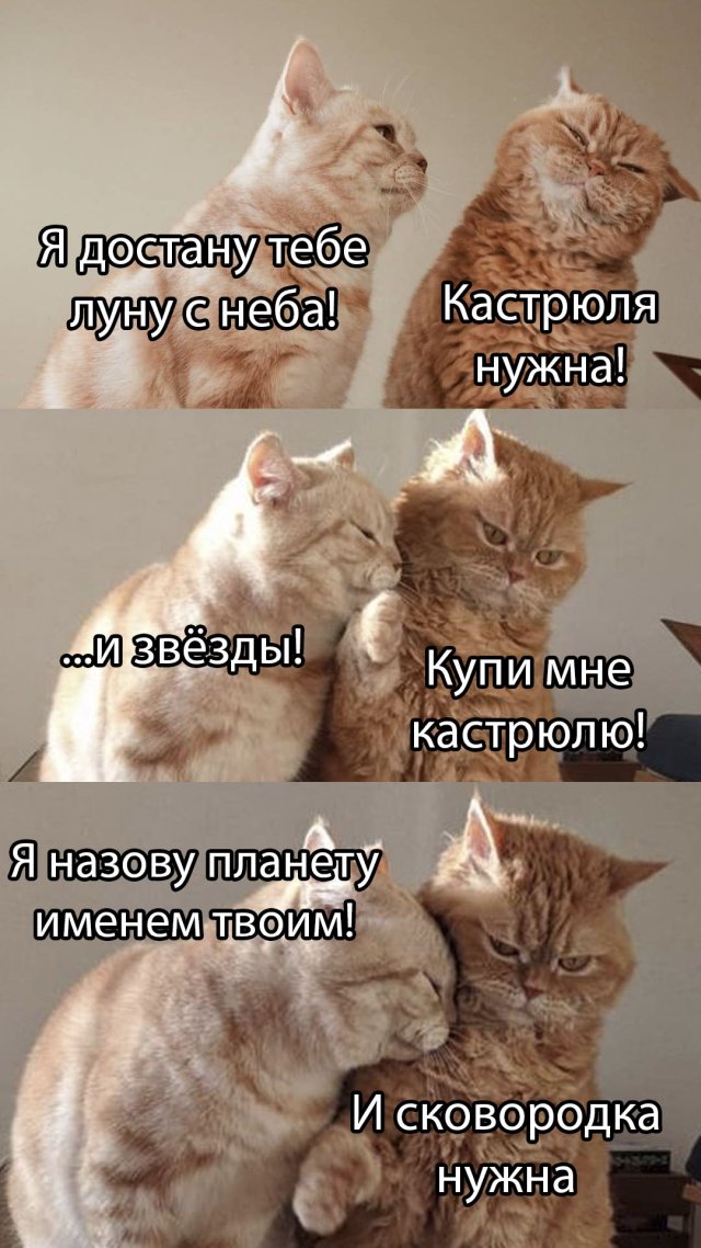 Смешные фото 18 мая 2020