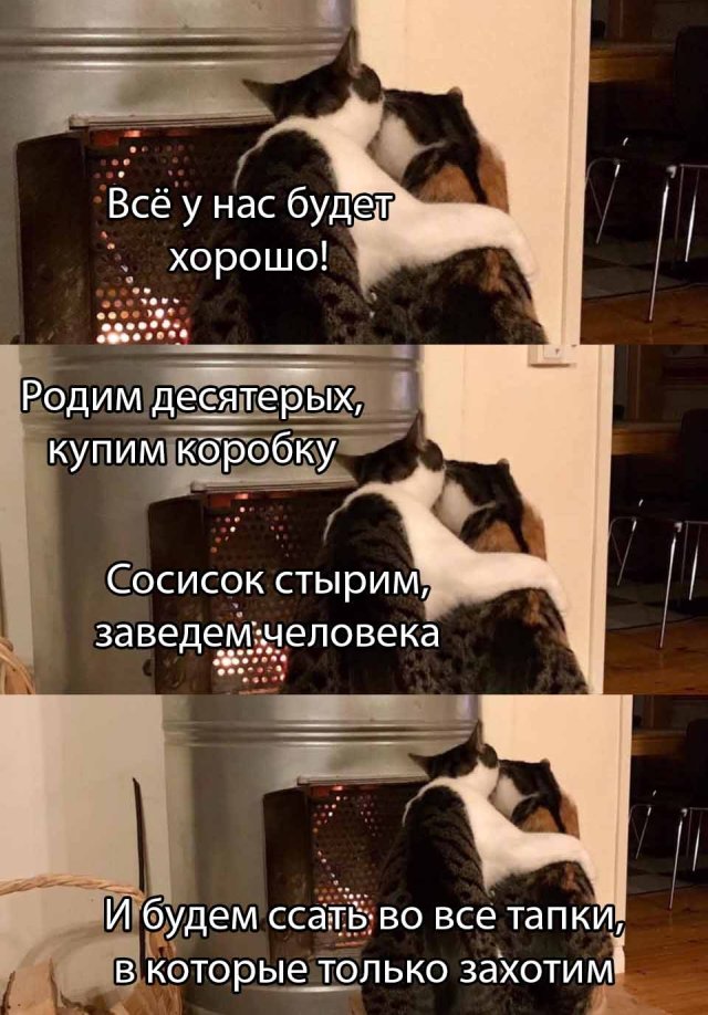 Смешные фото 18 мая 2020