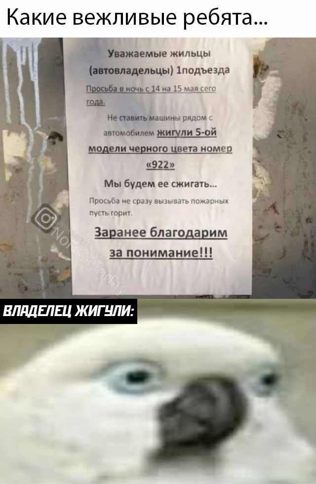 Смешные фото 18 мая 2020