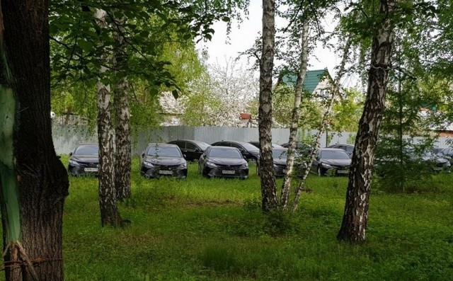 Toyota Camry в лесу Челябинска
