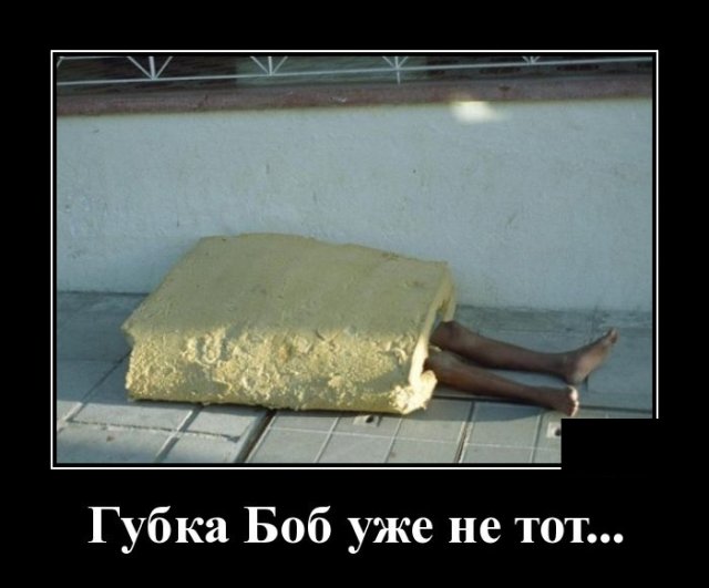 Демотиваторы 22 мая 2020