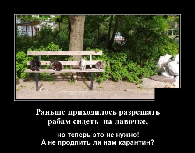 Демотиваторы 22 мая 2020