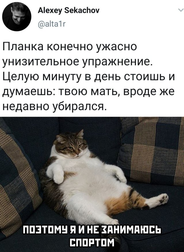 Смешные картинки вечер 22 мая 2020