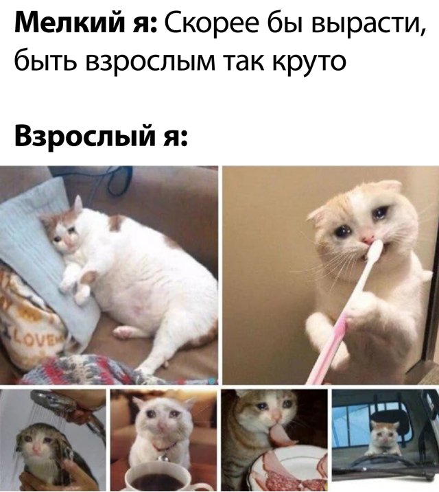 Смешные картинки 25 мая 2020