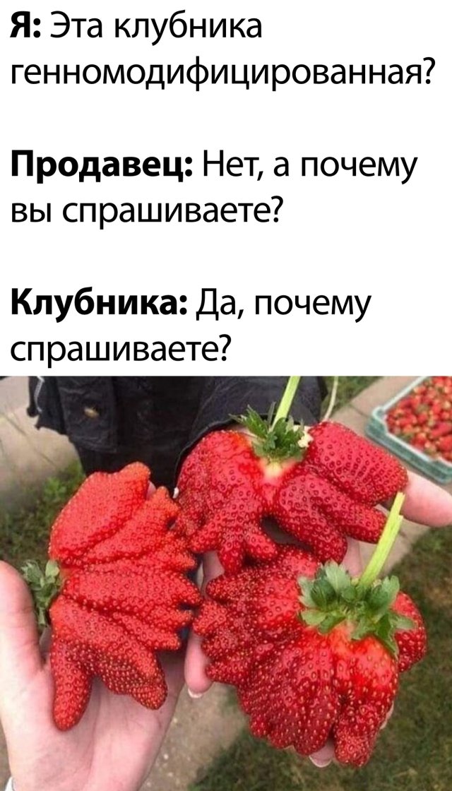 Смешные картинки 25 мая 2020