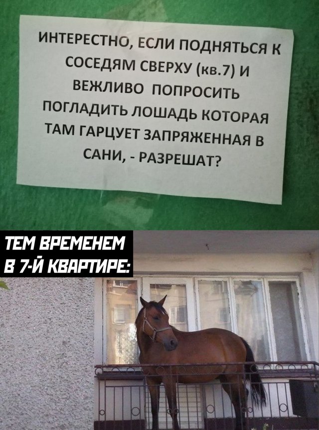 Смешные картинки 25 мая 2020