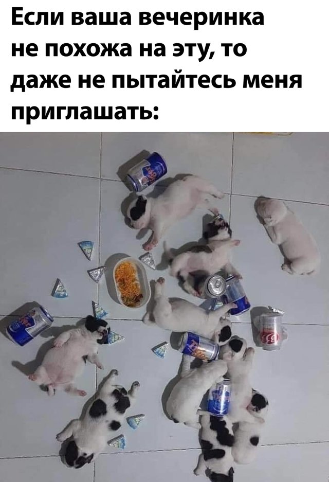 Смешные картинки 25 мая 2020