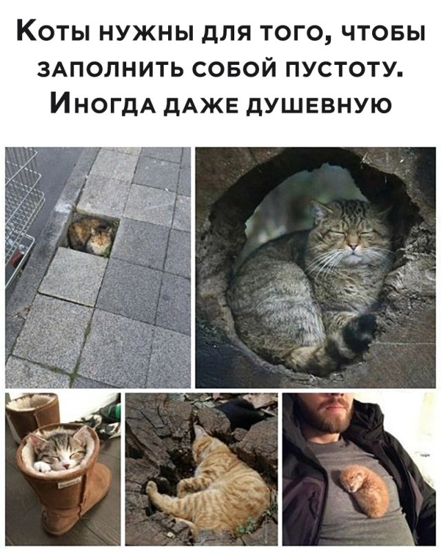 Смешные картинки 27 мая 2020
