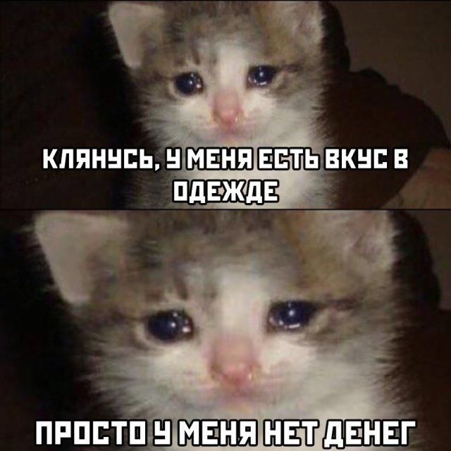 Смешные картинки 27 мая 2020