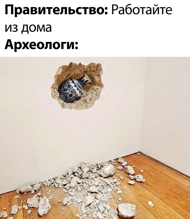 Смешные картинки 28 мая 2020