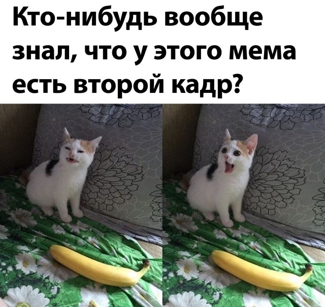 Смешные картинки 28 мая 2020