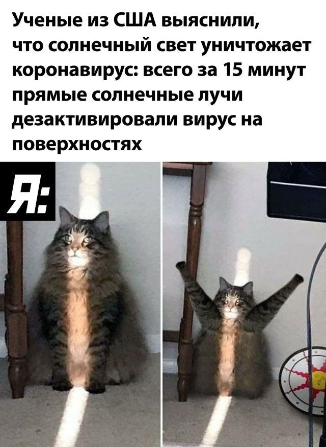 Смешные картинки 28 мая 2020