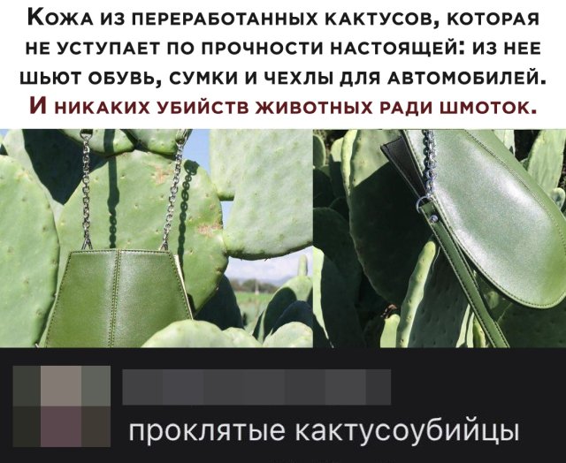 Смешные картинки 28 мая 2020