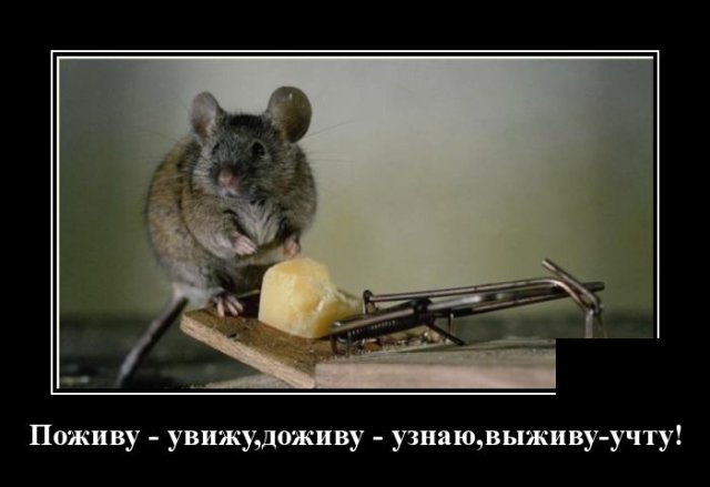 Демотиваторы 1 июня 2020