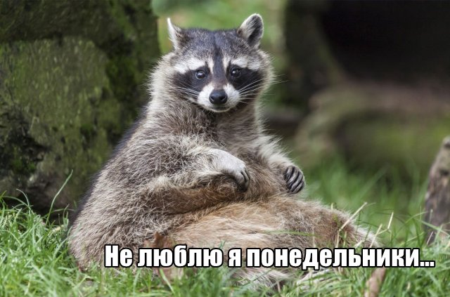 Трынделка - 01.06.2020