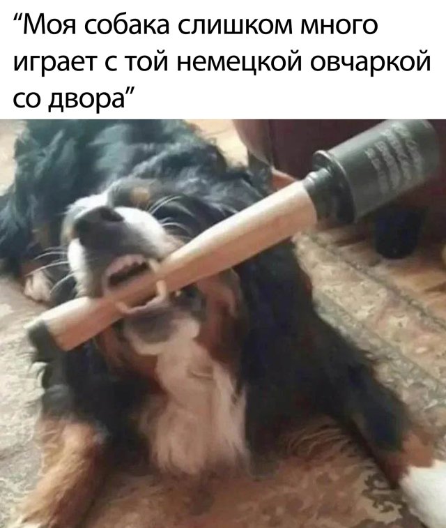 Смешные фото вечер 5 июня 2020