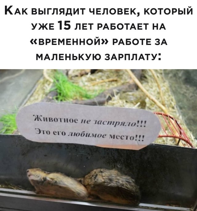 Смешные картинки 9 июня 2020