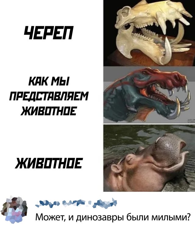 Смешные картинки 11 июня 2020