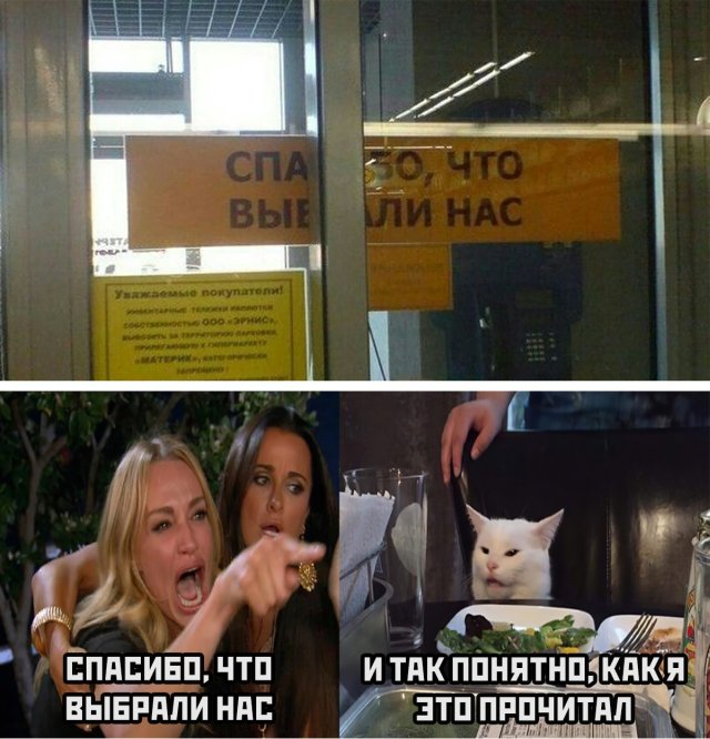 Смешные картинки 11 июня 2020