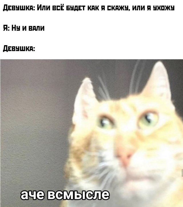 Смешные картинки 11 июня 2020