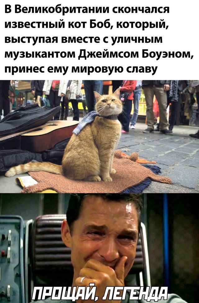 Смешные картинки 17 июня 2020