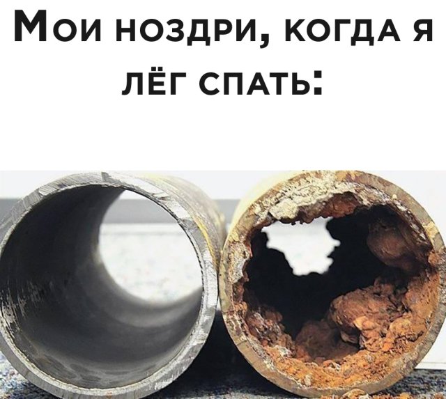 Смешные картинки 17 июня 2020
