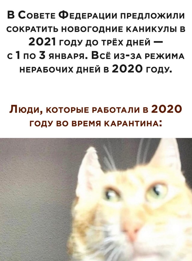 Смешные картинки 17 июня 2020