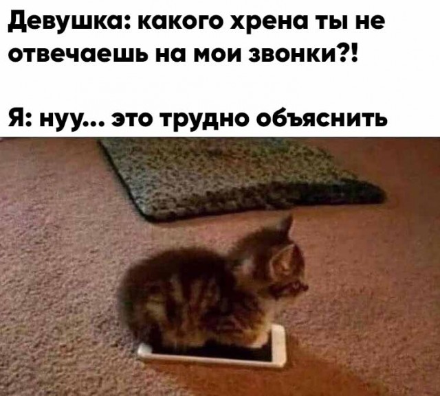 Смешные картинки 19 июня 2020