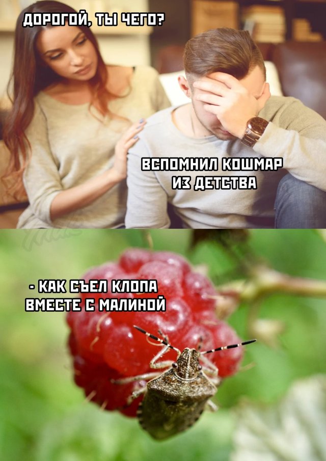 Смешные картинки 19 июня 2020