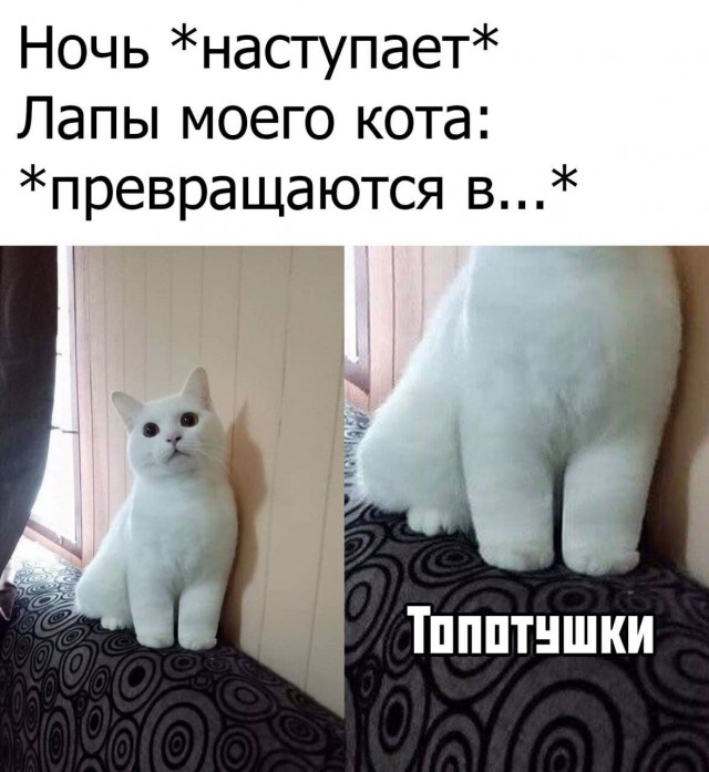Смешные фото вечер 19 июня 2020