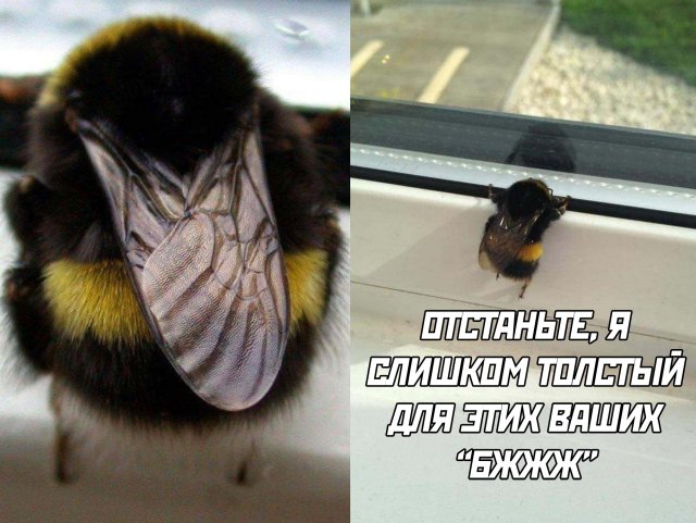 Смешные картинки 22 июня 2020