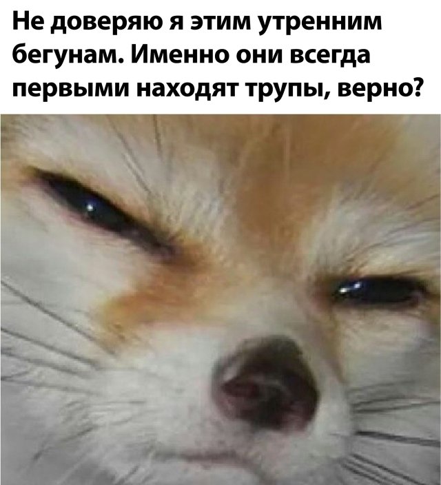 Смешные картинки 22 июня 2020
